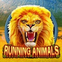 RUNNING ANIMALS